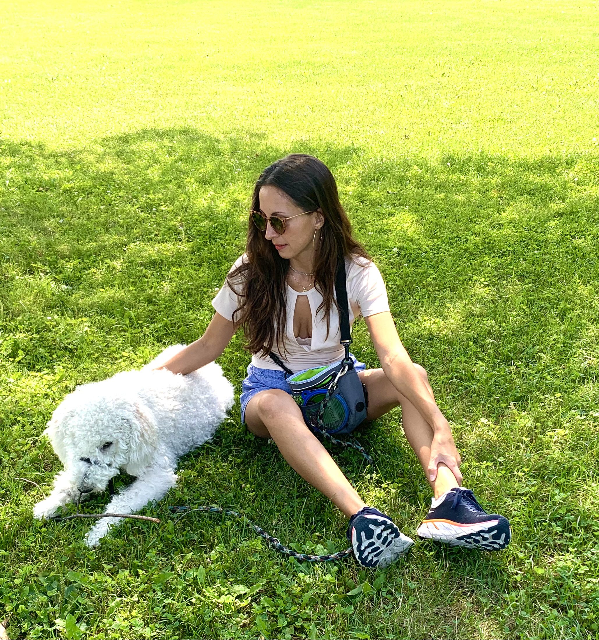 How to Choose Dog Sitters | Latinas and Dogs